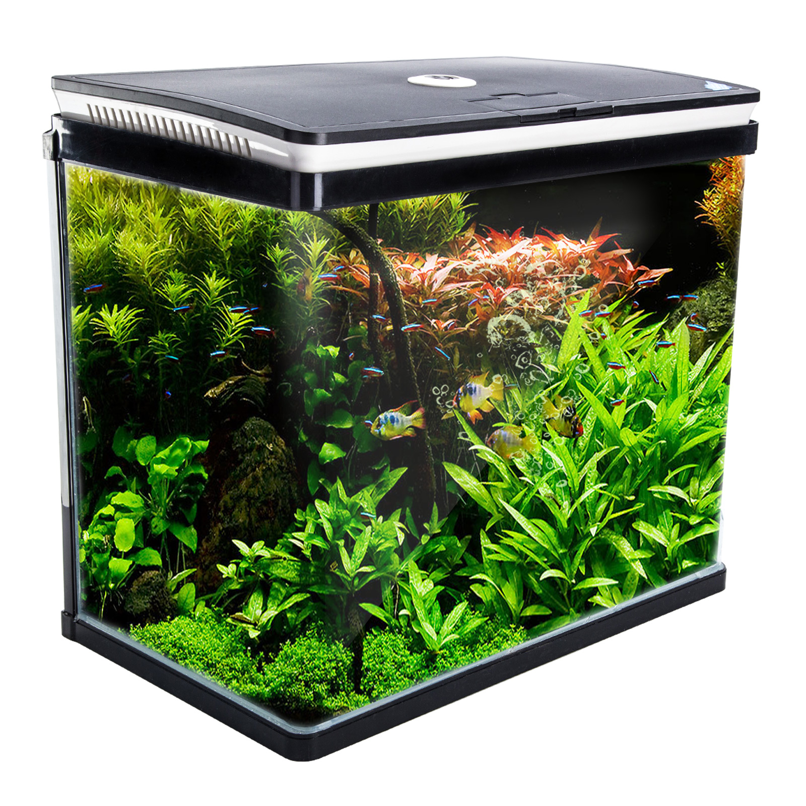 V274-AQ-FT52L-BK-AQ-FT52L-BK-00.jpg